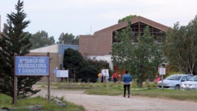 Photo of La Escuela de Agricultura y Ganadería fue elegida para un programa internacional