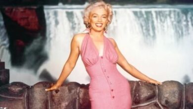 Photo of La excusa patriarcal de Netflix para atrasar el estreno de la biopic de Marilyn Monroe