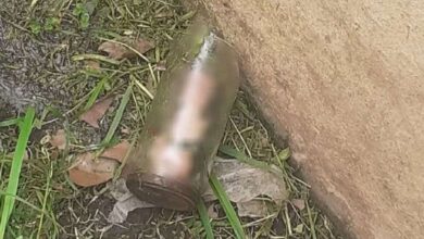 Photo of Encontró un pene en un frasco mientras cortaba el pasto
