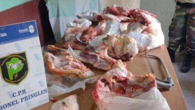 Photo of Secuestraron más 100 kilos de carne robada