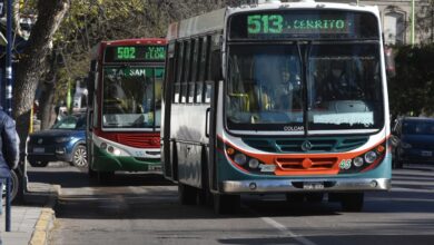 Photo of Actualización de beneficios para transporte público