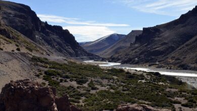 Photo of Duro panorama en la región: «El Colorado ya no es un río, es un arroyo»