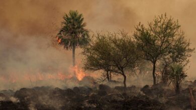 Photo of Gustavo Valdés declaró la zona de catástrofe en el Iberá: “Solo la naturaleza podrá apagar el fuego”