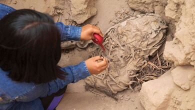 Photo of Arqueólogos hallan momias de seis niños que fueron víctimas de sacrificios en Perú