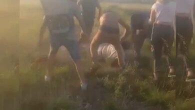 Photo of Video: Feroz ataque de usurpadores