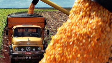 Photo of Transportistas de granos lanzaron un paro nacional