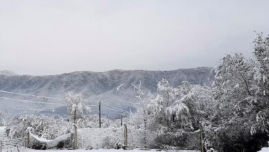 Photo of Alerta amarilla en cuatro provincias por fuertes vientos y nevadas