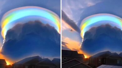 Photo of Una nube de arcoiris sorprendió a China y revolucionó las redes sociales