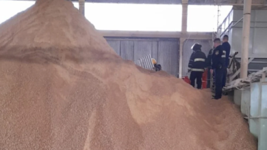 Photo of Horror en Córdoba: Murió aplastado por toneladas de soja