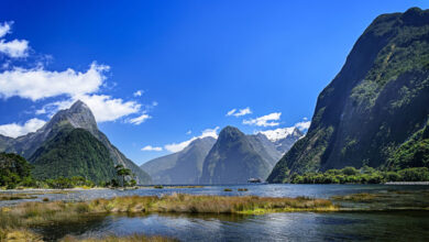 Photo of Ofrecen US$50 mil por un trabajo en un lugar soñado de Nueva Zelanda