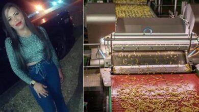 Photo of Mujer murió tras caer en una máquina trituradora de papas