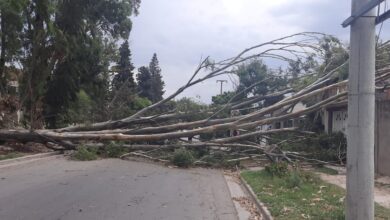 Photo of Lo que dejó la tormenta en Bahía