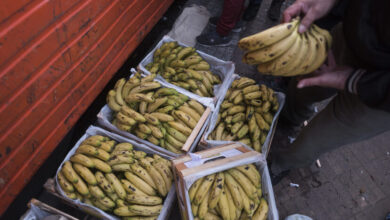 Photo of Secuestraron más de cien kilos de cocaína entre bananas