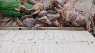 Photo of Villalonga: Secuestraron casi 200 kilos de carne por abigeato